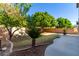 Backyard featuring desert landscaping, a concrete patio, mature trees, and block wall fencing at 6312 W Villa Linda Dr, Glendale, AZ 85310