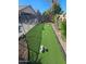 Fun backyard putting green with artificial turf; great for practicing your short game at 114 N 119Th Dr, Avondale, AZ 85323