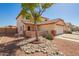 Beautiful front yard with desert landscaping, a shade tree, and stone accents at 13321 N 124Th Ave, El Mirage, AZ 85335