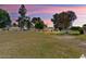 Spacious backyard with mature shade trees and sunset sky at 15621 N Lakeforest Dr, Sun City, AZ 85351