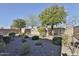 A serene backyard featuring decorative rock, mature trees, and privacy wall at 27138 W Escuda Dr, Buckeye, AZ 85396