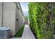 Side yard with paver walkway, lush privacy hedges, and artificial turf, offering a low-maintenance outdoor space at 29219 W Clarendon Ave, Buckeye, AZ 85396