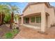 Rear exterior showcasing the covered patio and manicured backyard with mature palms at 4121 E Narrowleaf Dr, Gilbert, AZ 85298