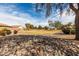 Scenic community green space with mature trees, rock feature, and lush landscaping, creating a serene environment at 44961 W Miraflores St, Maricopa, AZ 85139