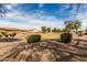 Picturesque green space within the community, showcasing manicured landscaping and open views under a clear sky at 44961 W Miraflores St, Maricopa, AZ 85139