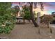 Inviting backyard with mature trees and a gazebo that features hanging chairs for relaxing outdoors at 5819 E Ludlow Dr, Scottsdale, AZ 85254