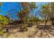 Expansive backyard with mature trees and outdoor seating, perfect for relaxing and enjoying nature at 6648 S 27Th Ave, Phoenix, AZ 85041