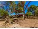 Spacious backyard with mature trees, picnic table and lots of room for activities at 6648 S 27Th Ave, Phoenix, AZ 85041