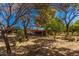 Backyard area with mature trees offering shade and natural beauty, perfect for outdoor enjoyment at 6648 S 27Th Ave, Phoenix, AZ 85041