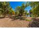 Picturesque pond surrounded by lush trees and foliage, creating a serene and private outdoor oasis at 6648 S 27Th Ave, Phoenix, AZ 85041