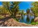 Picturesque pond with fountain, surrounded by palm trees and a grassy bank, creating a relaxing and tropical atmosphere at 6648 S 27Th Ave, Phoenix, AZ 85041