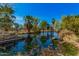 Scenic pond view, showcasing lush palm trees and tranquil water with a fountain in the center at 6648 S 27Th Ave, Phoenix, AZ 85041