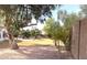 Backyard featuring a pool, mature landscaping, and perimeter fence at 6834 E Culver St, Mesa, AZ 85207