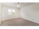 Bright bedroom featuring neutral carpet, a ceiling fan, and a bright window at 812 W Rosal Pl, Chandler, AZ 85225