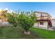 Spacious backyard with lush green grass, fruit trees, a patio and a second-story balcony at 930 W Hudson Way, Gilbert, AZ 85233