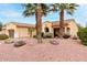 Inviting home exterior with lush landscaping, palm trees, and a decorative rock front yard at 12852 W El Sueno Dr, Sun City West, AZ 85375