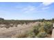 Expansive desert landscape with native vegetation, offering a tranquil setting and natural views at 18007 N 66Th Way, Phoenix, AZ 85054