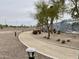 Community walking path lined with trees, lighting, and gravel landscaping at 18502 N Celis St, Maricopa, AZ 85138