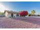 Well-maintained single-story home with desert landscaping featuring colorful bougainvillea and a healthy palm tree at 2512 N Central Dr, Chandler, AZ 85224