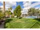 A backyard view shows a fenced pool with grassy area, tall palm trees, and blue skies at 302 W Thunderbird Rd, Phoenix, AZ 85023