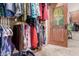 Organized walk-in closet with stained-wood door featuring a decorative tree design at 3123 E Cat Balue Dr, Phoenix, AZ 85050