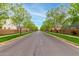 Residential street view with mature trees along the sidewalk and lush lawns at 3632 E Comstock Dr, Gilbert, AZ 85296