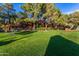 Community green space with lush green grass and pine trees at 4704 E Paradise Village Pkwy # 213, Phoenix, AZ 85032