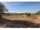 Scenic view of desert landscape, grassy field, and distant buildings under a clear blue sky at 5621 N 189Th Dr, Litchfield Park, AZ 85340