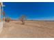 Home featuring desert landscaping, neutral stucco with red trim at 6431 N 418Th Ave, Tonopah, AZ 85354