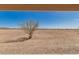 Expansive backyard view featuring desert landscape and distant mountains, seen from covered patio at 6431 N 418Th Ave, Tonopah, AZ 85354