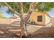 An exterior shot of the home and backyard with a large tree at 6718 E Northridge St, Mesa, AZ 85215