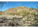 Expansive desert landscape view featuring native plants, and a rocky mountain at 1312 N Joplin Cir, Mesa, AZ 85207