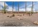 Stone sign for Saguaro Mountain community surrounded by desert landscaping and mature cacti at 1312 N Joplin Cir, Mesa, AZ 85207