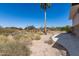 Scenic backyard with desert landscape, a two-story home, and a tall palm tree at 27002 N 64Th St, Scottsdale, AZ 85266