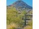 Scenic landscape showcasing a desert mountain with native cacti and lush vegetation under a clear blue sky at 29243 N 122Nd Ln, Peoria, AZ 85383