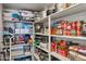 Well-stocked pantry with ample shelving providing plenty of space for kitchen storage at 29243 N 122Nd Ln, Peoria, AZ 85383
