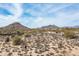 Expansive desert landscape featuring mountains, native vegetation, and luxury homes in a picturesque community setting at 8167 E Leaning Rock Rd # 193, Scottsdale, AZ 85266