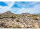 Lush desert landscape view with homes nestled among native vegetation, offering serene mountain views under a vibrant blue sky at 8167 E Leaning Rock Rd # 193, Scottsdale, AZ 85266