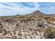 Desert land ready for building with mountain views, featuring native trees and scenic vistas in a sunny locale at 8167 E Leaning Rock Rd # 193, Scottsdale, AZ 85266