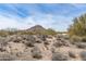 Picturesque desert landscape with natural vegetation under a bright sky with sparse cloud cover at 8167 E Leaning Rock Rd # 193, Scottsdale, AZ 85266