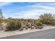 Desert terrain featuring natural vegetation under a wispy blue sky at 8167 E Leaning Rock Rd # 193, Scottsdale, AZ 85266