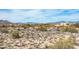 Expansive desert landscape dotted with lush greenery and elegant homes, framed by distant mountain ranges under a bright, clear sky at 8167 E Leaning Rock Rd # 193, Scottsdale, AZ 85266