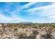 Expansive desert landscape featuring scattered greenery and elegant homes set against a backdrop of distant mountain ranges under a blue sky at 8167 E Leaning Rock Rd # 193, Scottsdale, AZ 85266