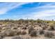 Scenic view of sparse desert landscape with low vegetation under a vast blue sky with light, streaky clouds at 8167 E Leaning Rock Rd # 193, Scottsdale, AZ 85266