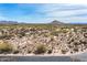 Expansive desert landscape featuring natural terrain and mountain views under a bright, partly cloudy sky at 8167 E Leaning Rock Rd # 193, Scottsdale, AZ 85266