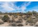 Arid desert landscape featuring sparse vegetation under a partly cloudy blue sky at 8167 E Leaning Rock Rd # 193, Scottsdale, AZ 85266