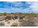 Picturesque desert view with native plants and a contemporary home in the distance, blending nature and modern living at 8167 E Leaning Rock Rd # 193, Scottsdale, AZ 85266
