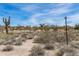 Scenic desert landscape with a prominent saguaro cactus and community lot marker at 8395 E Leaning Rock Rd # 187, Scottsdale, AZ 85266