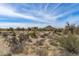 Desert landscape with arid foliage, cacti, and homes in the background at 8395 E Leaning Rock Rd # 187, Scottsdale, AZ 85266