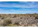 Desert landscape featuring native vegetation and distant mountains, showcasing a spacious area at 8395 E Leaning Rock Rd # 187, Scottsdale, AZ 85266